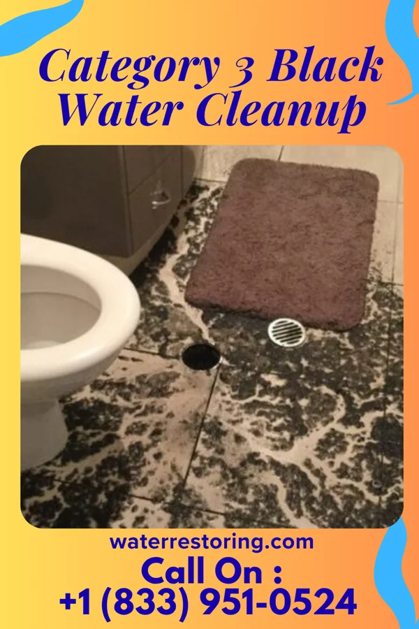 Category 3 Black Water Cleanup in El Cerro Mission, NM